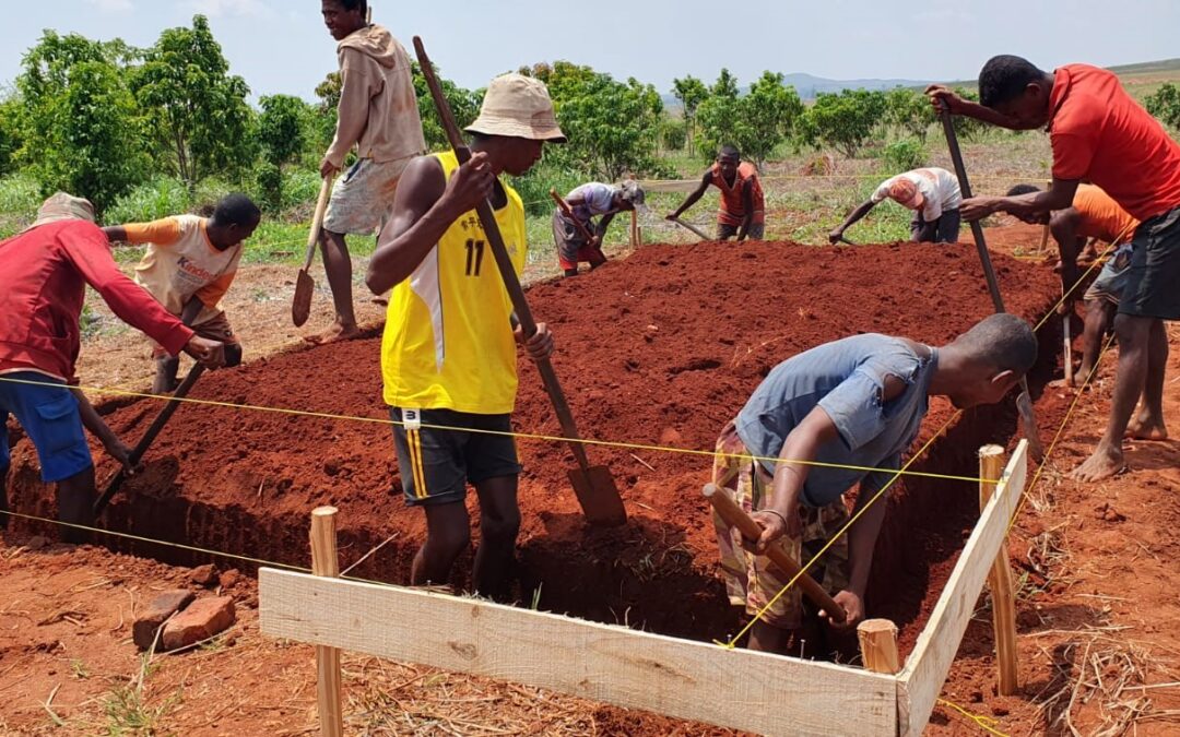 Plantation de Tsiroanomandidy